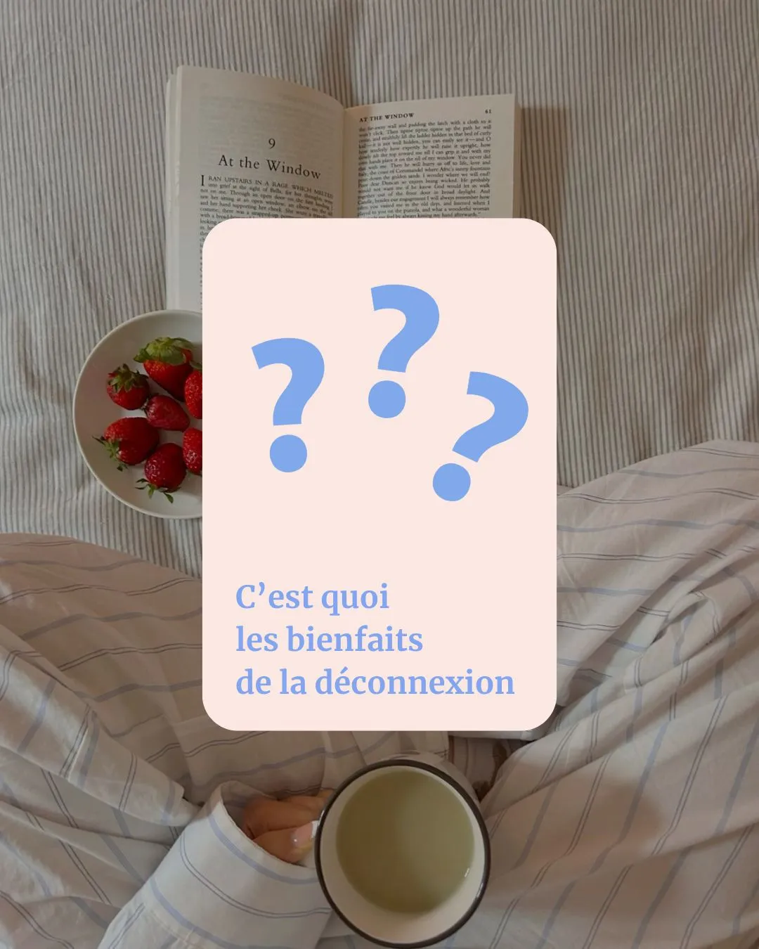 Visuel de la newsletter